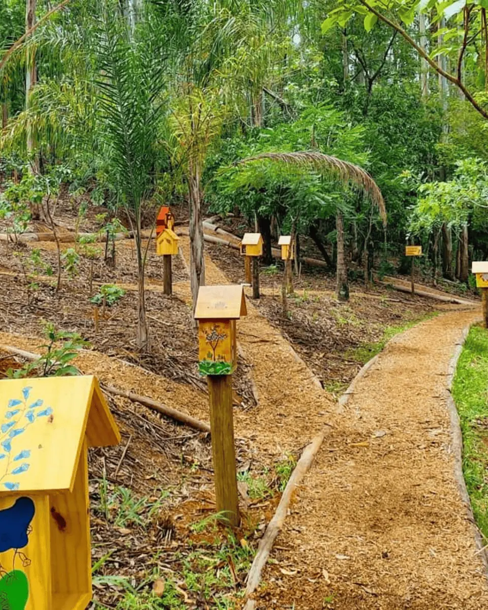 Paisagismo Ecológico e Jardins Regenerativos