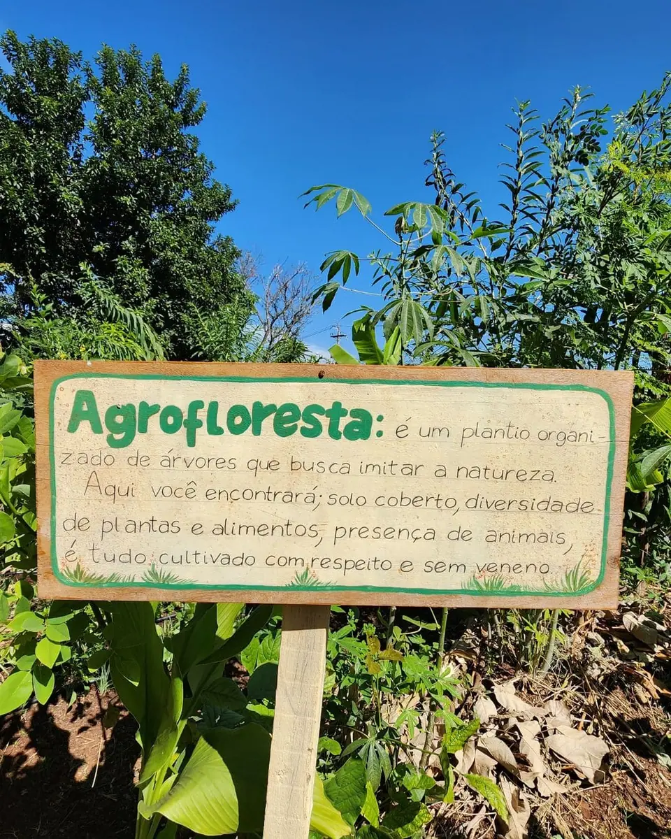 Projeto Floresta Viva