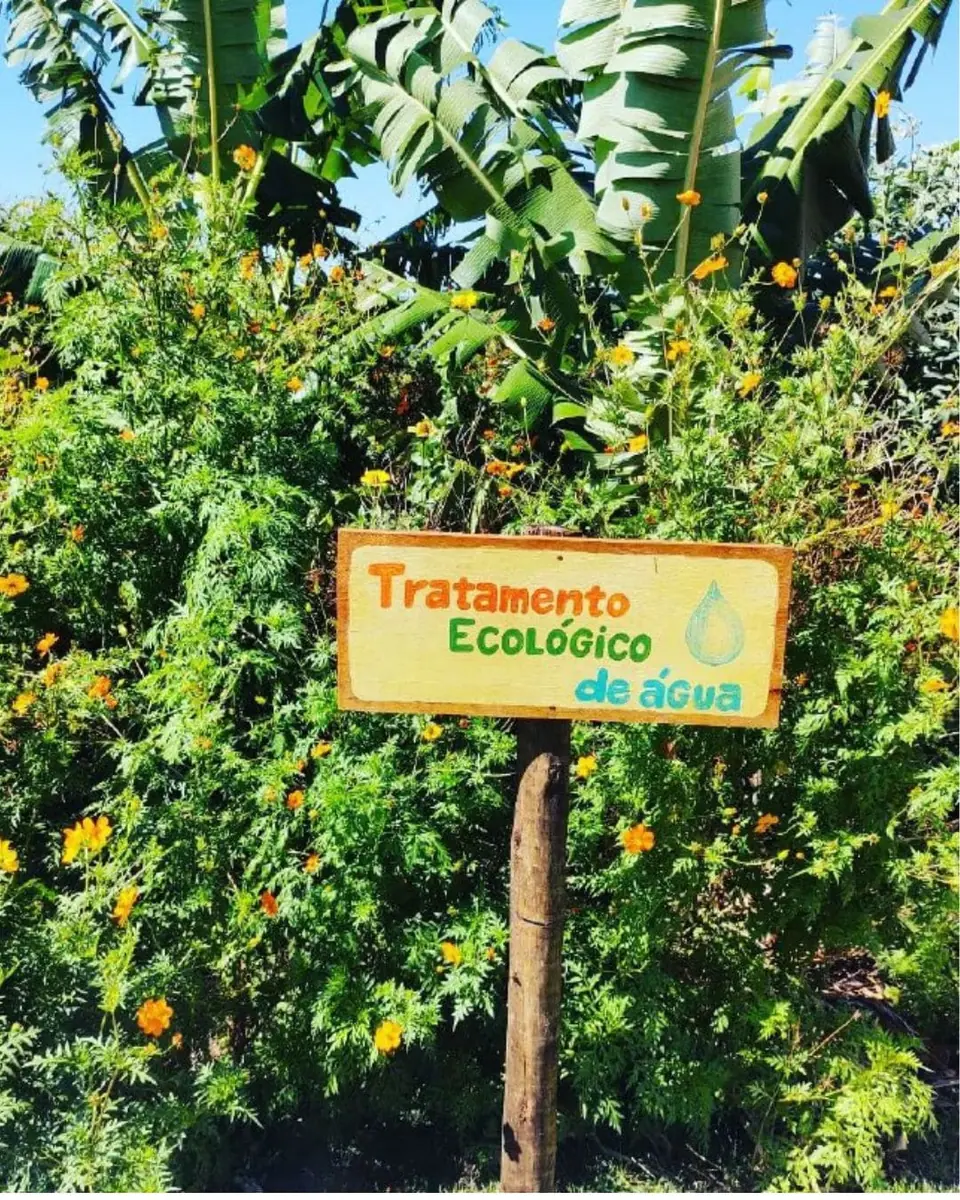 Por que escolher a Flor e Ser?