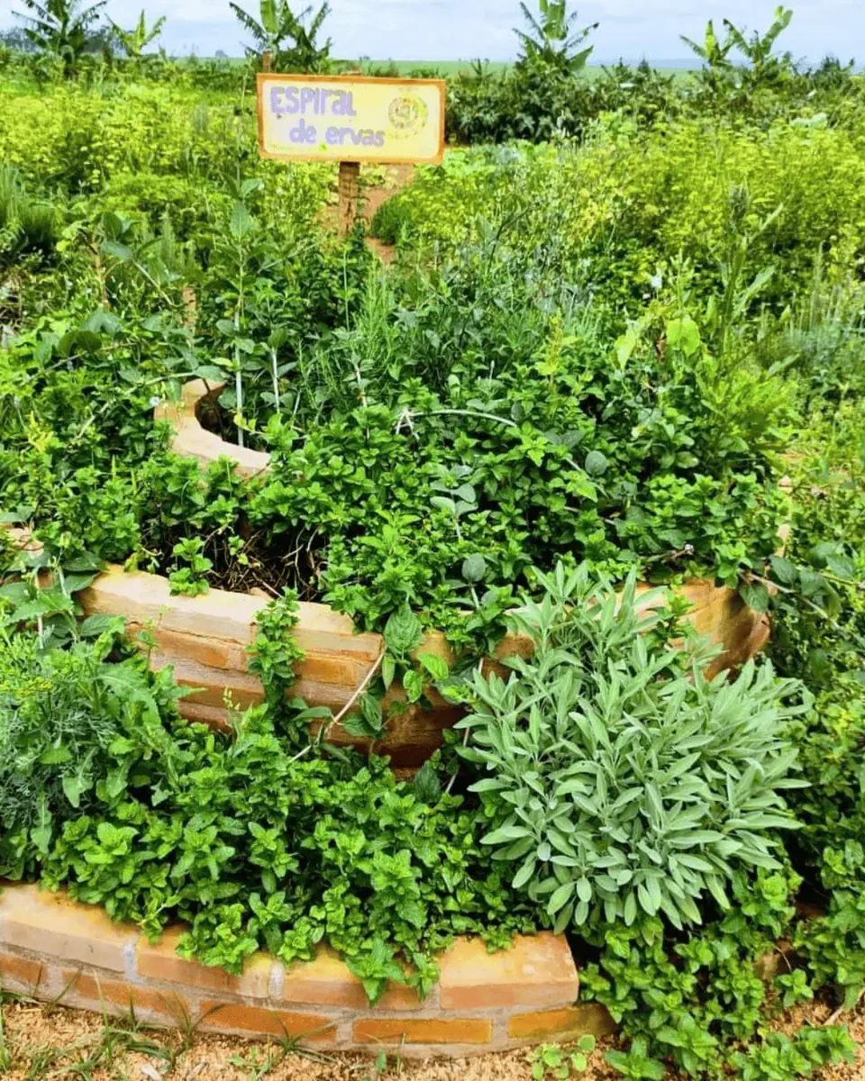 Paisagismo Ecológico e Jardins Regenerativos