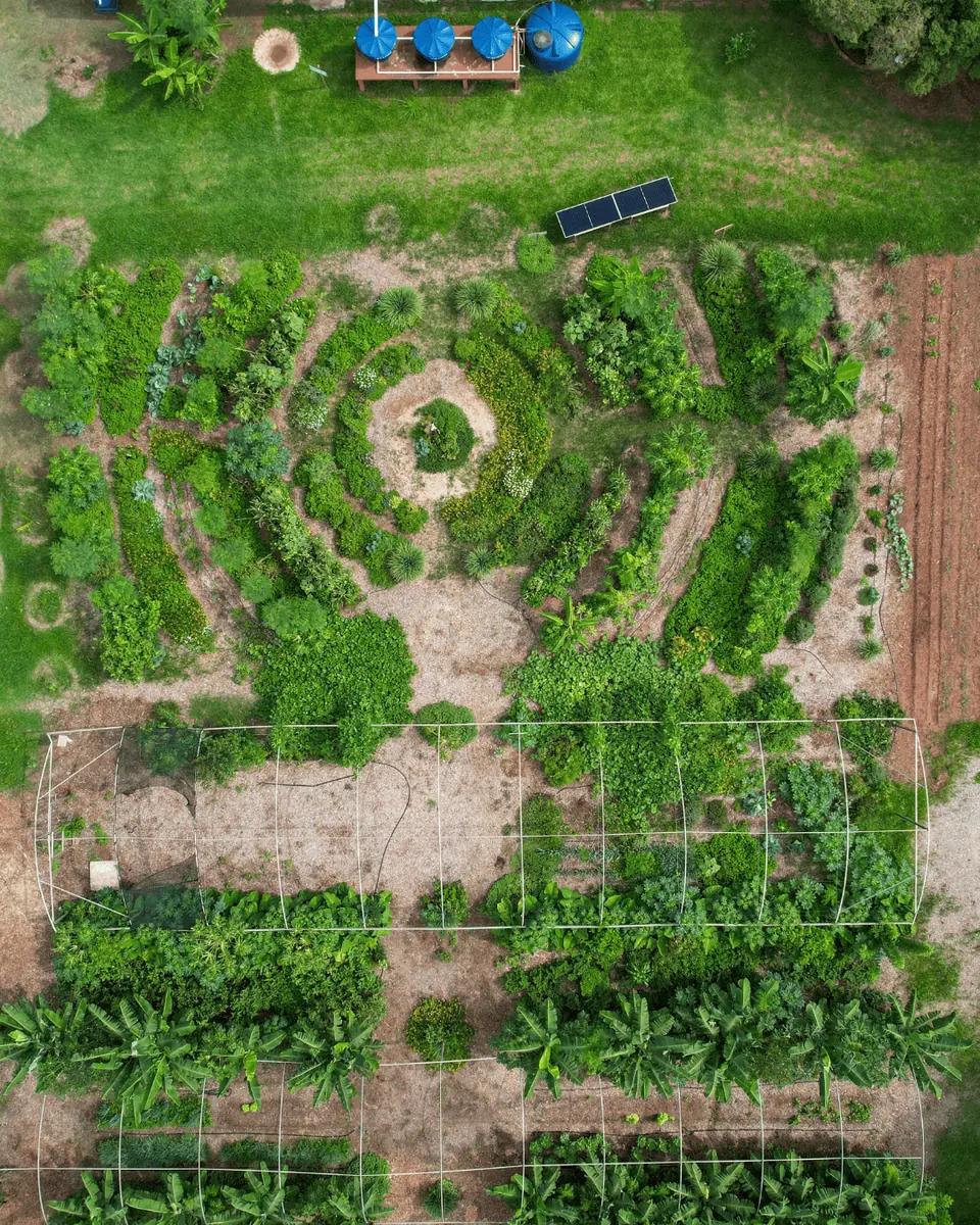 Paisagismo Ecológico e Jardins Regenerativos