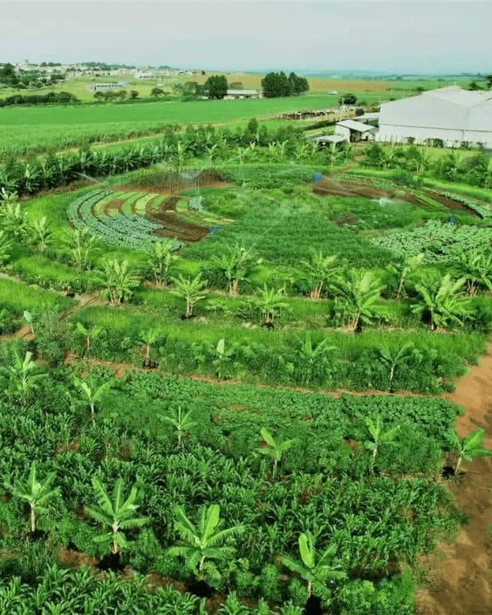Design Regenerativo e Tecnologias Sustentáveis