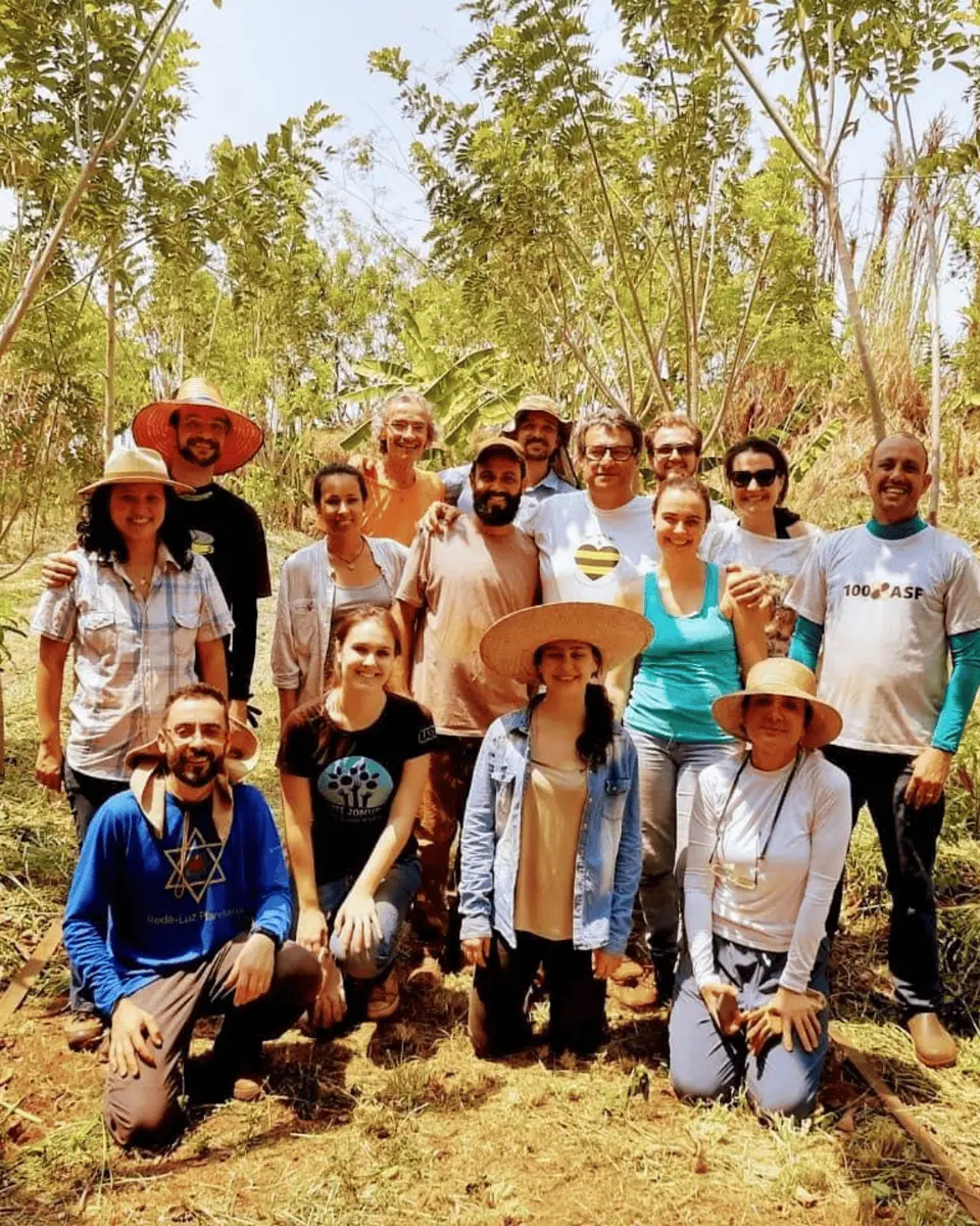 Projeto Renascente - Renascer a Nascente