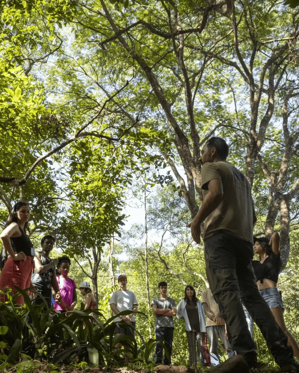Flor e Ser Soluções Ecológicas