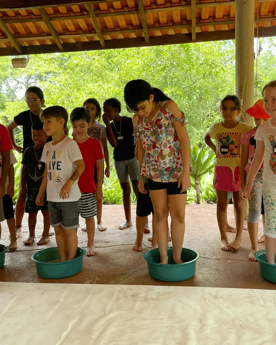 Educação Ambiental e Regenerativa