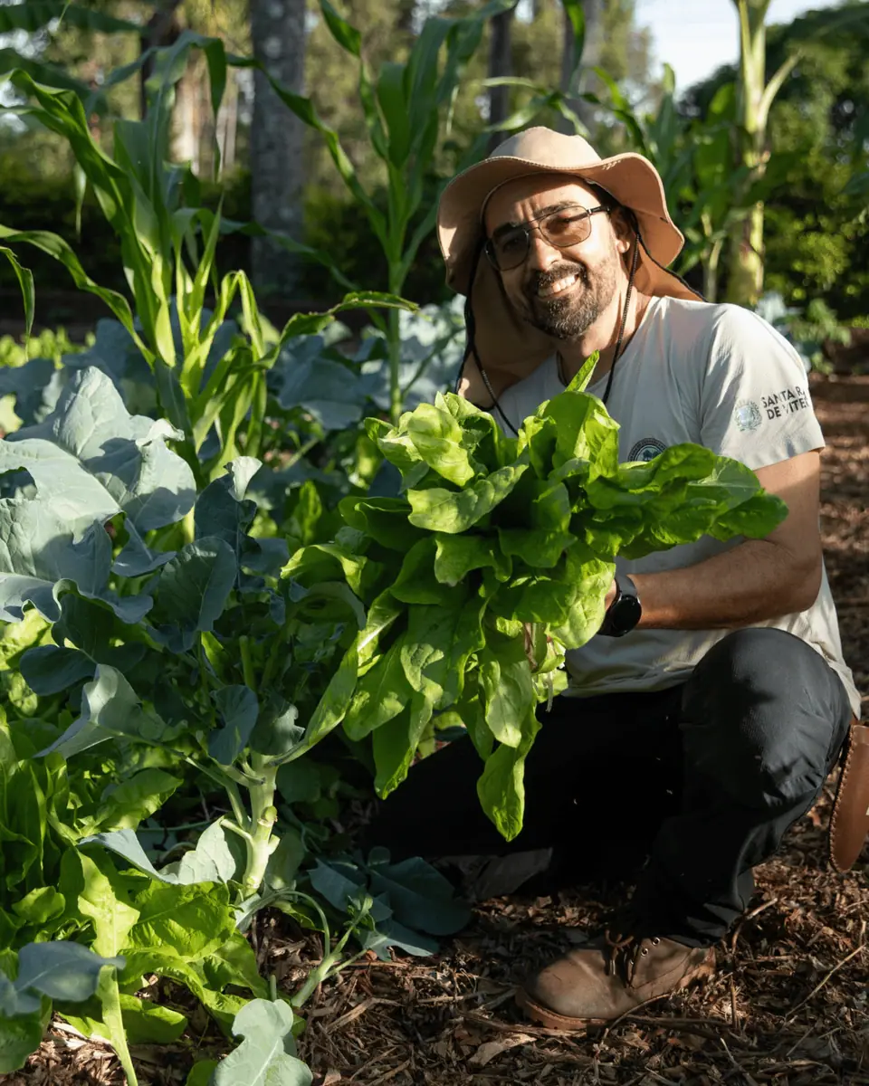 Sistemas Agroflorestais e Agricultura Regenerativa