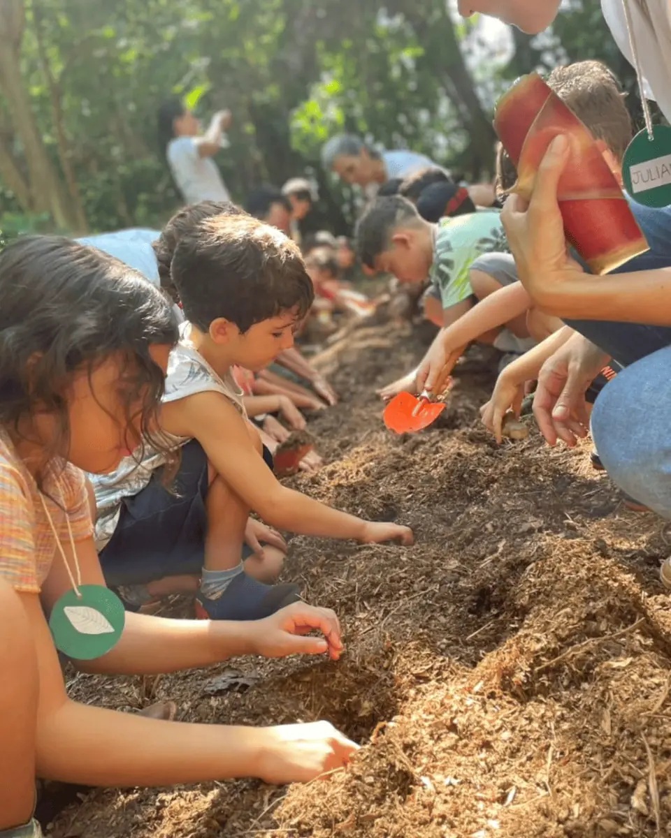Flor e Ser Soluções Ecológicas