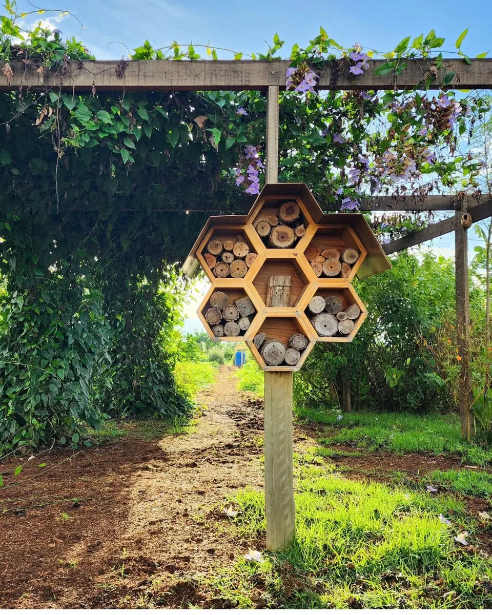 Por que escolher a Flor e Ser?
