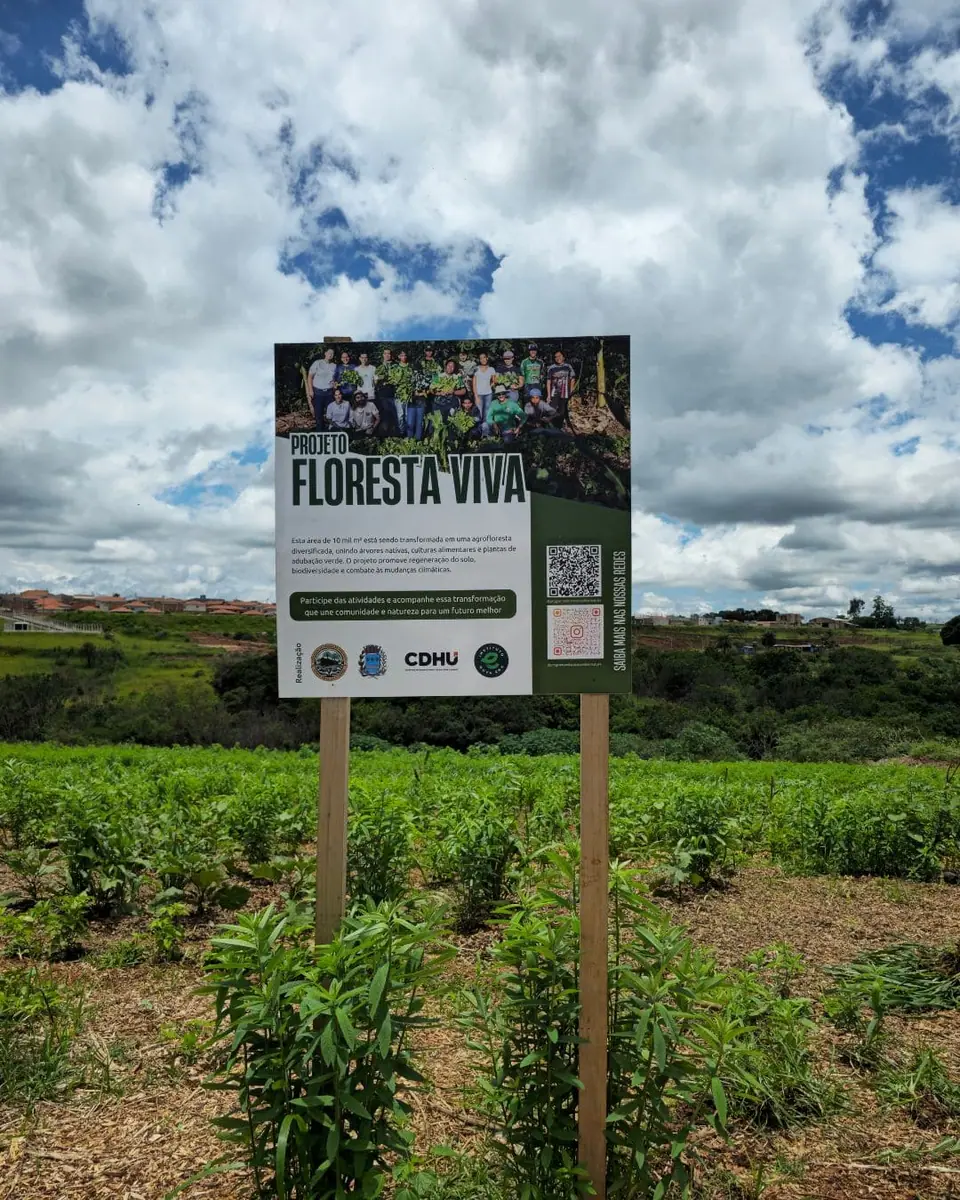 Projeto Floresta Viva