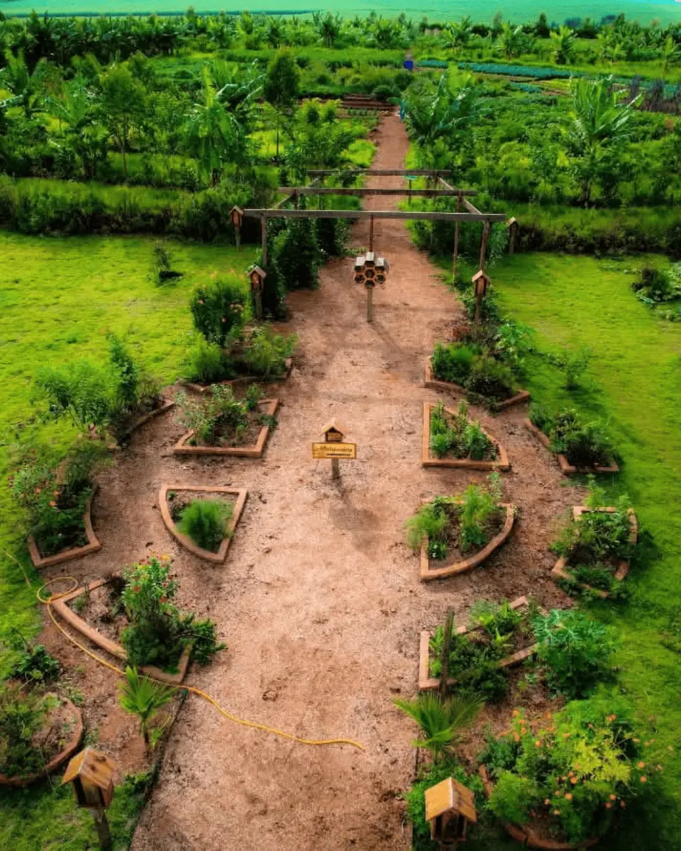 Design Regenerativo e Tecnologias Sustentáveis