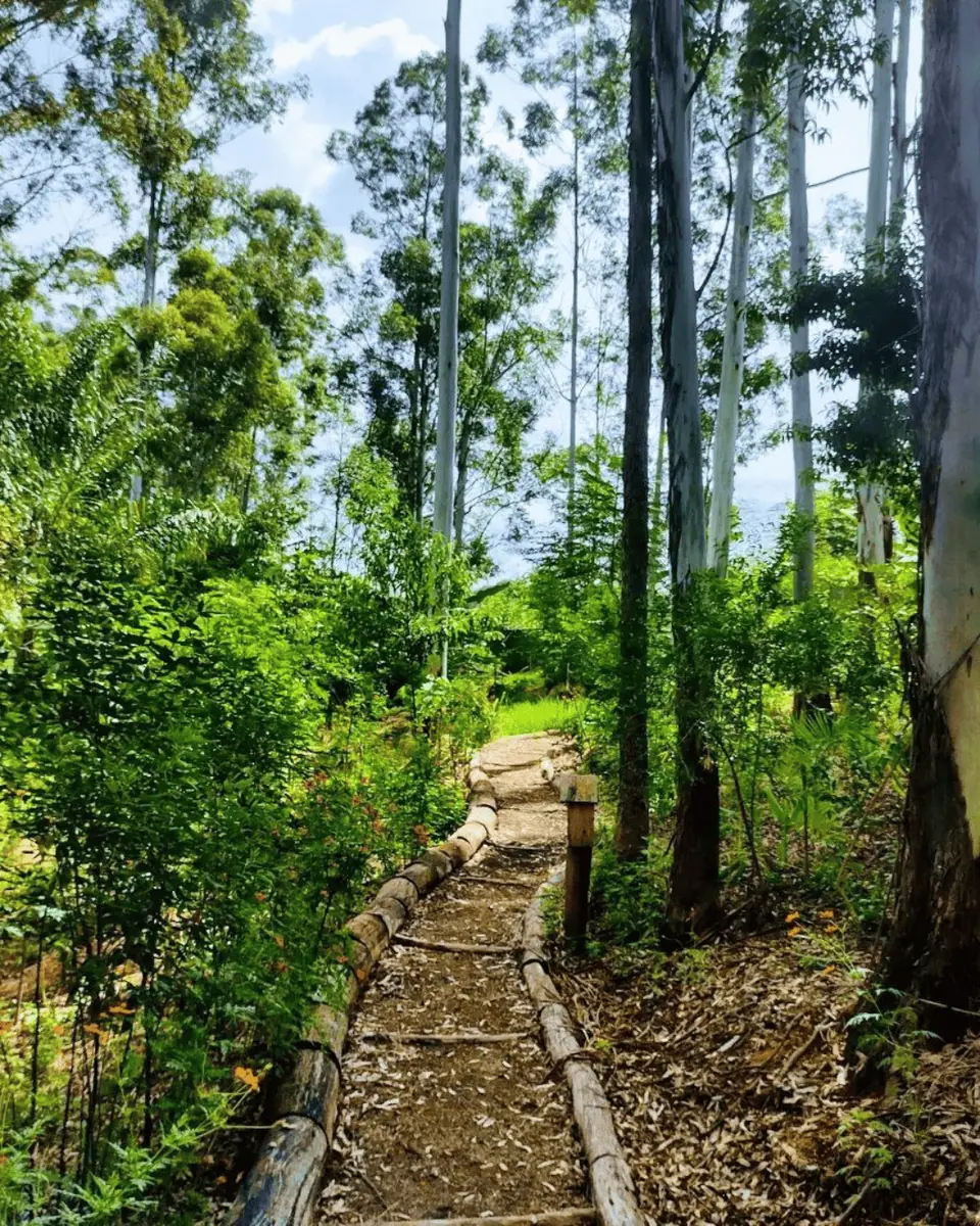 Paisagismo Ecológico e Jardins Regenerativos