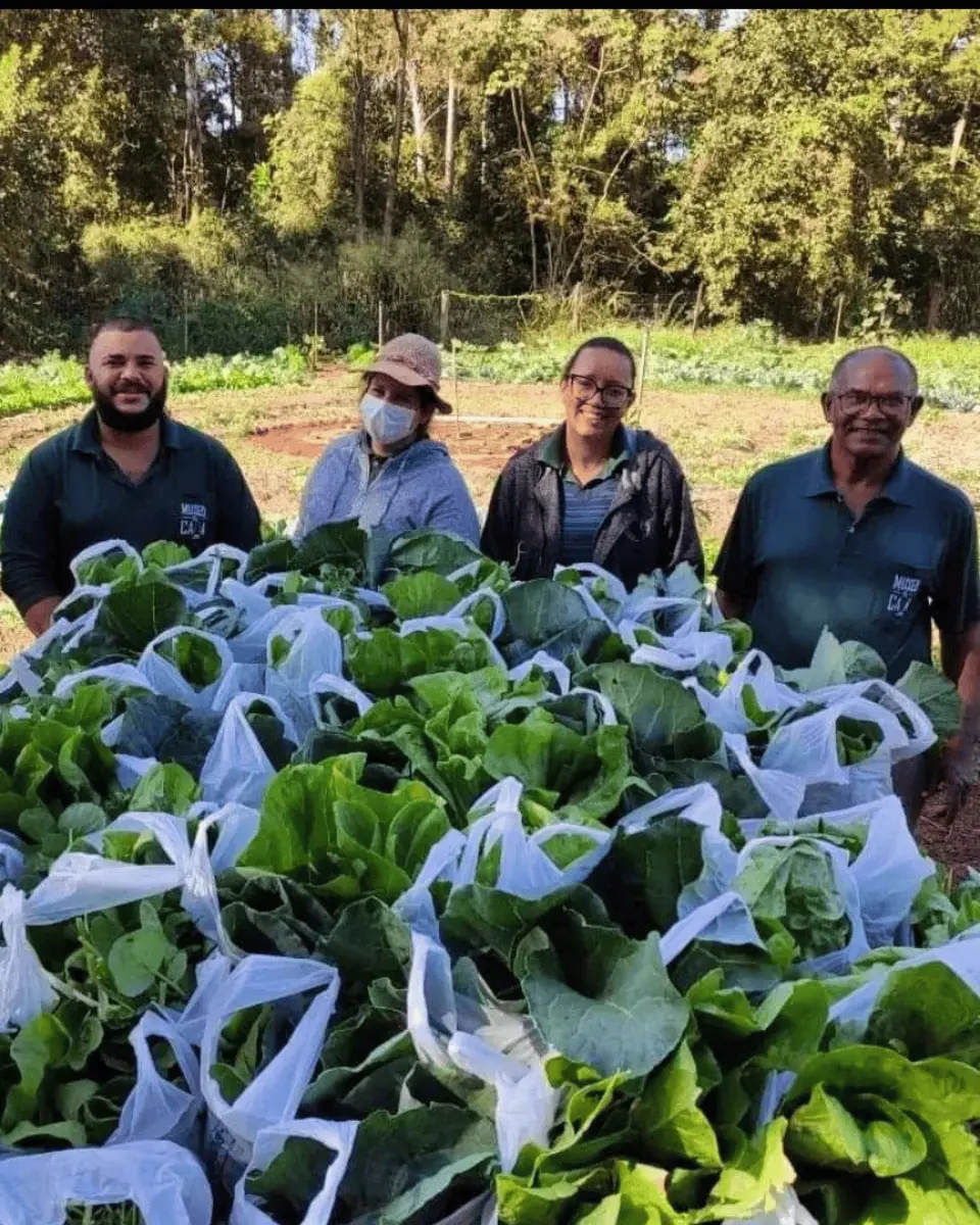 Sistemas Agroflorestais e Agricultura Regenerativa