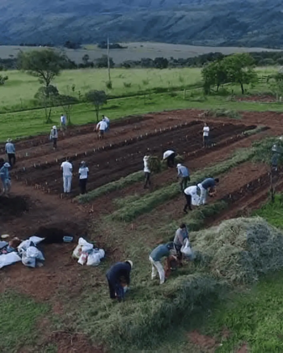 Gestão de Resíduos, Compostagem e Reciclagem Criativa