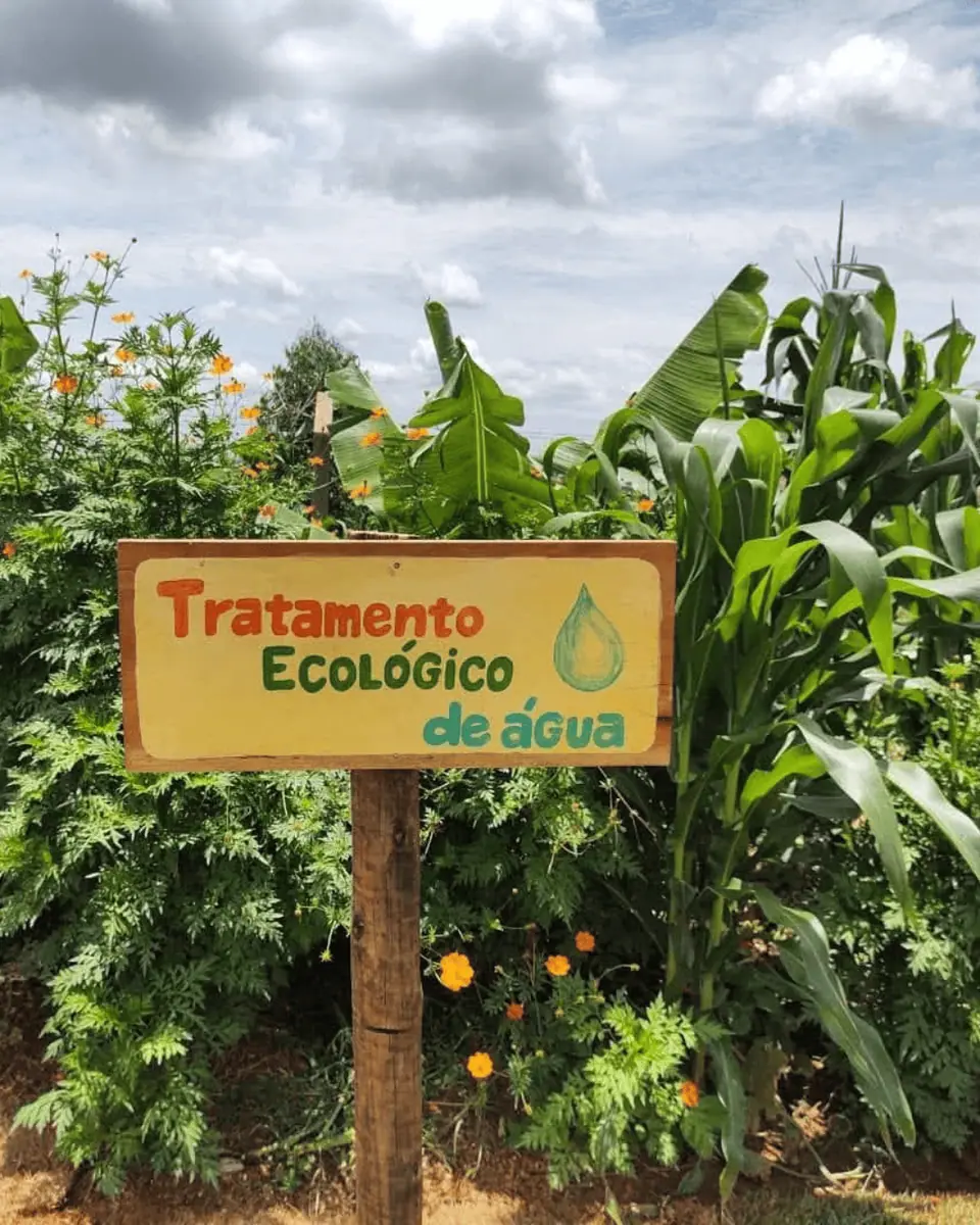 Design Regenerativo e Tecnologias Sustentáveis