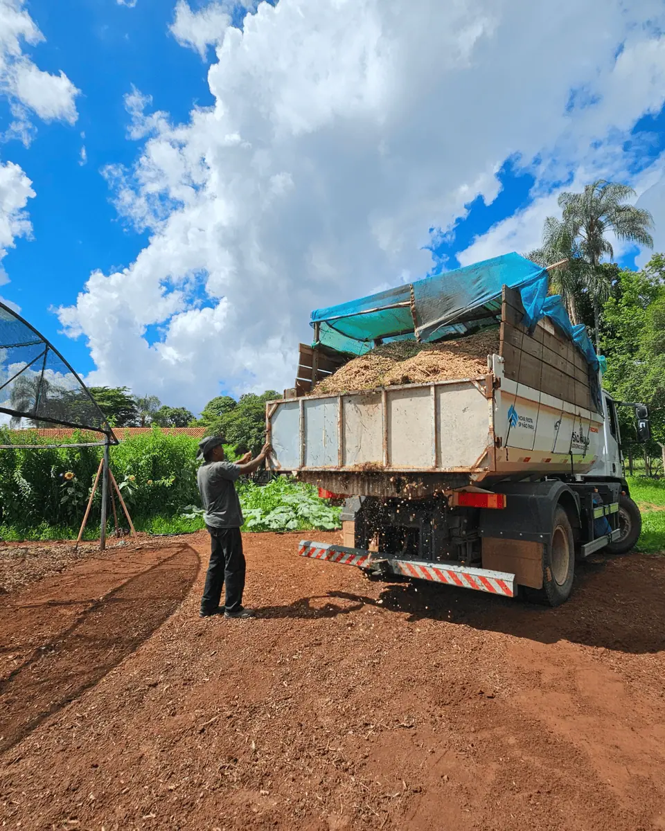 Gestão de Resíduos, Compostagem e Reciclagem Criativa