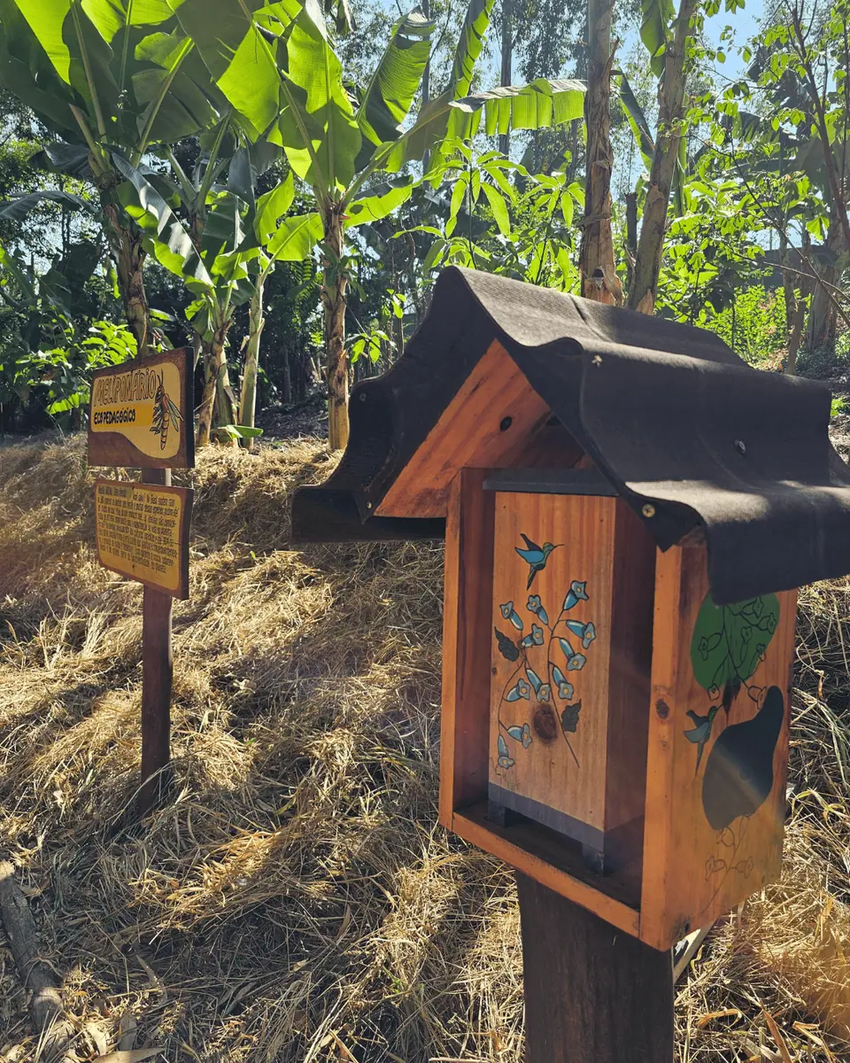 Paisagismo Ecológico e Jardins Regenerativos