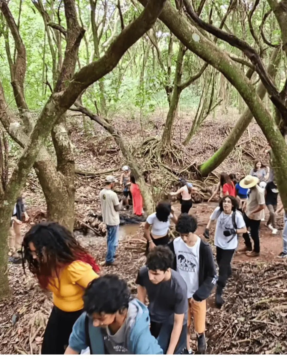 Flor e Ser Soluções Ecológicas