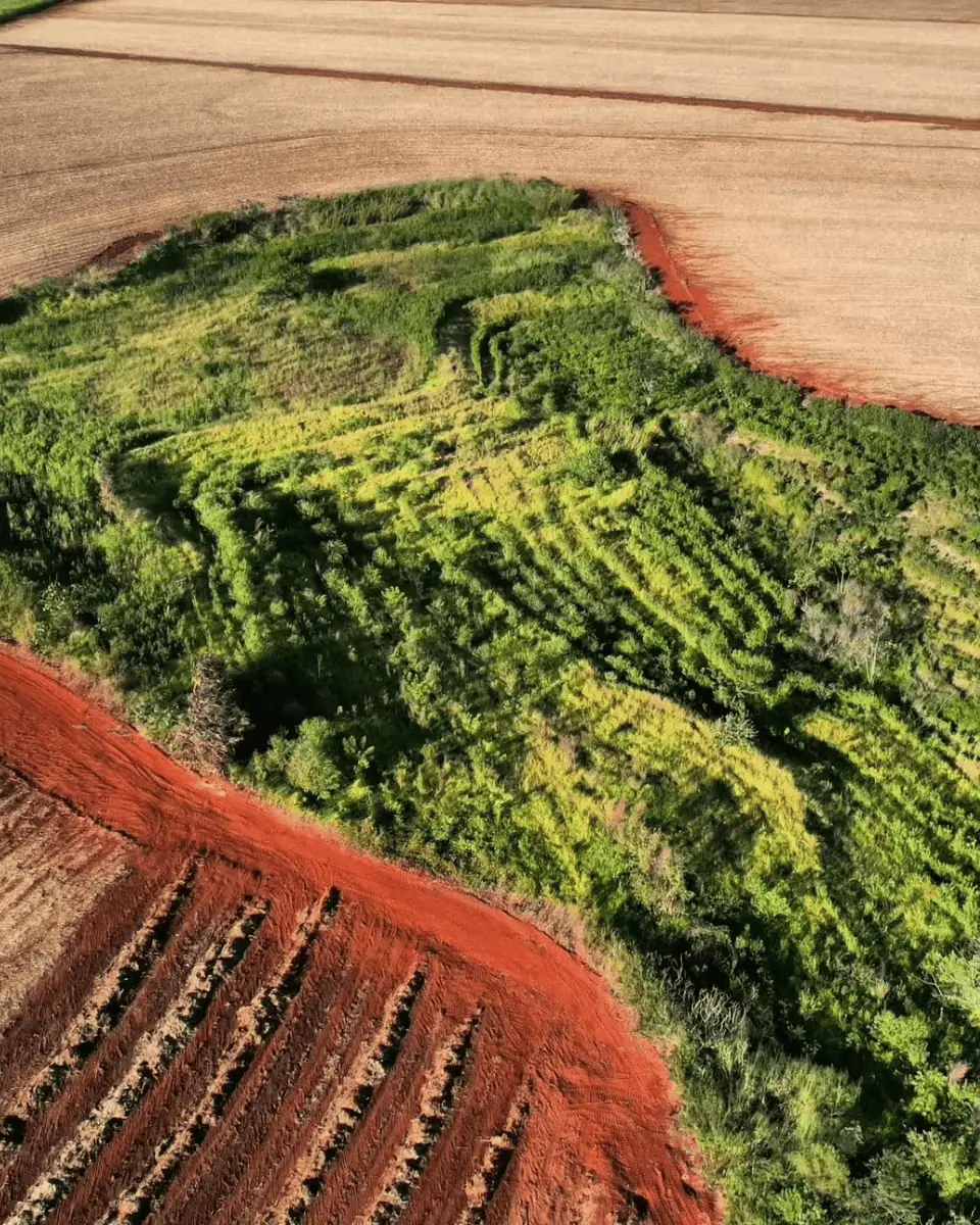 Flor e Ser Soluções Ecológicas