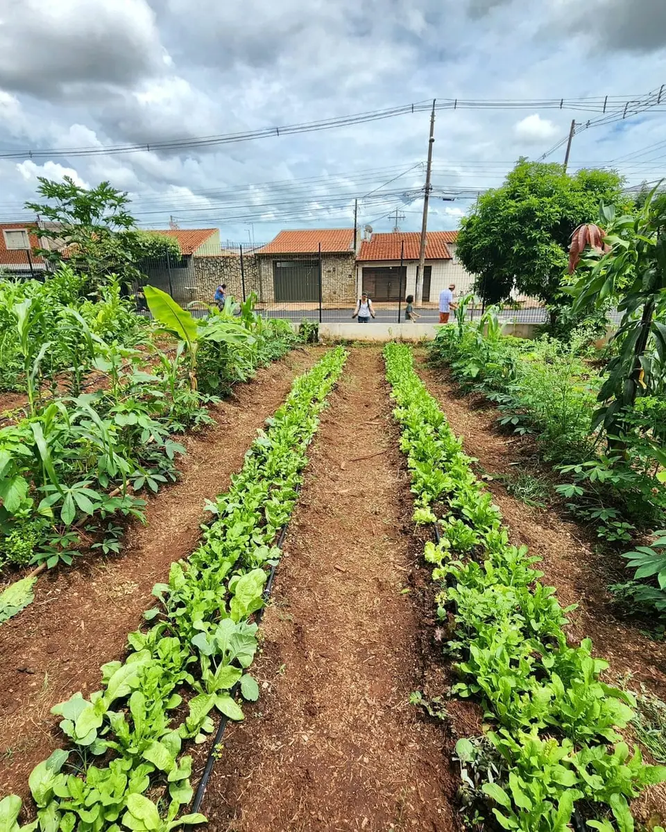 Projeto Floresta Viva — acervo Flor e Ser