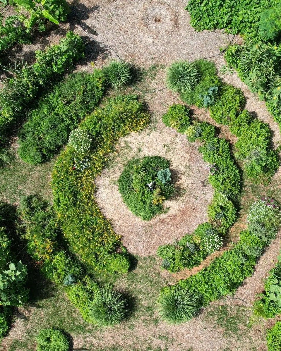Paisagismo Ecológico e Jardins Regenerativos