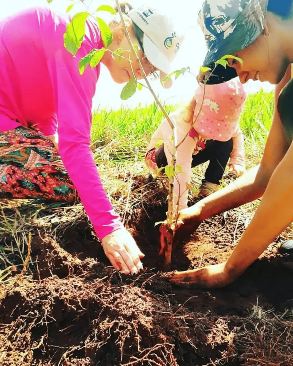 Educação Ambiental e Regenerativa