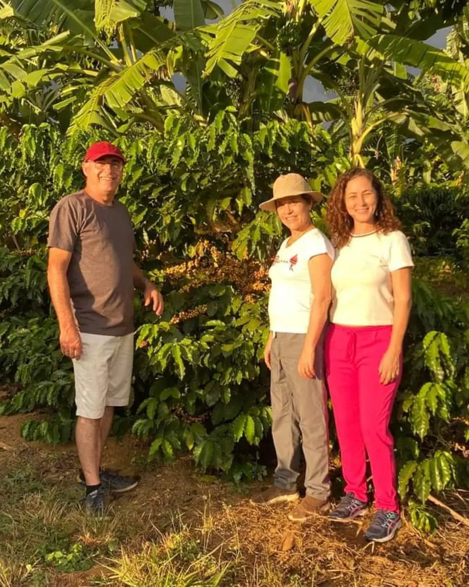 Sistemas Agroflorestais e Agricultura Regenerativa