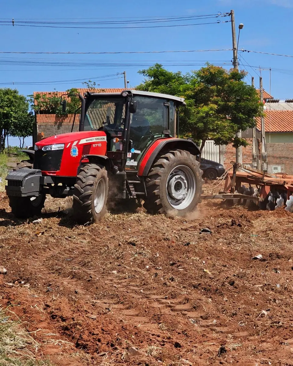 Projeto Floresta Viva