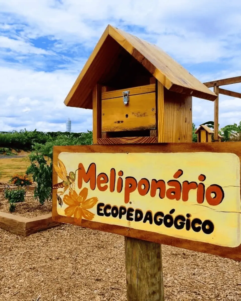 Design Regenerativo e Tecnologias Sustentáveis