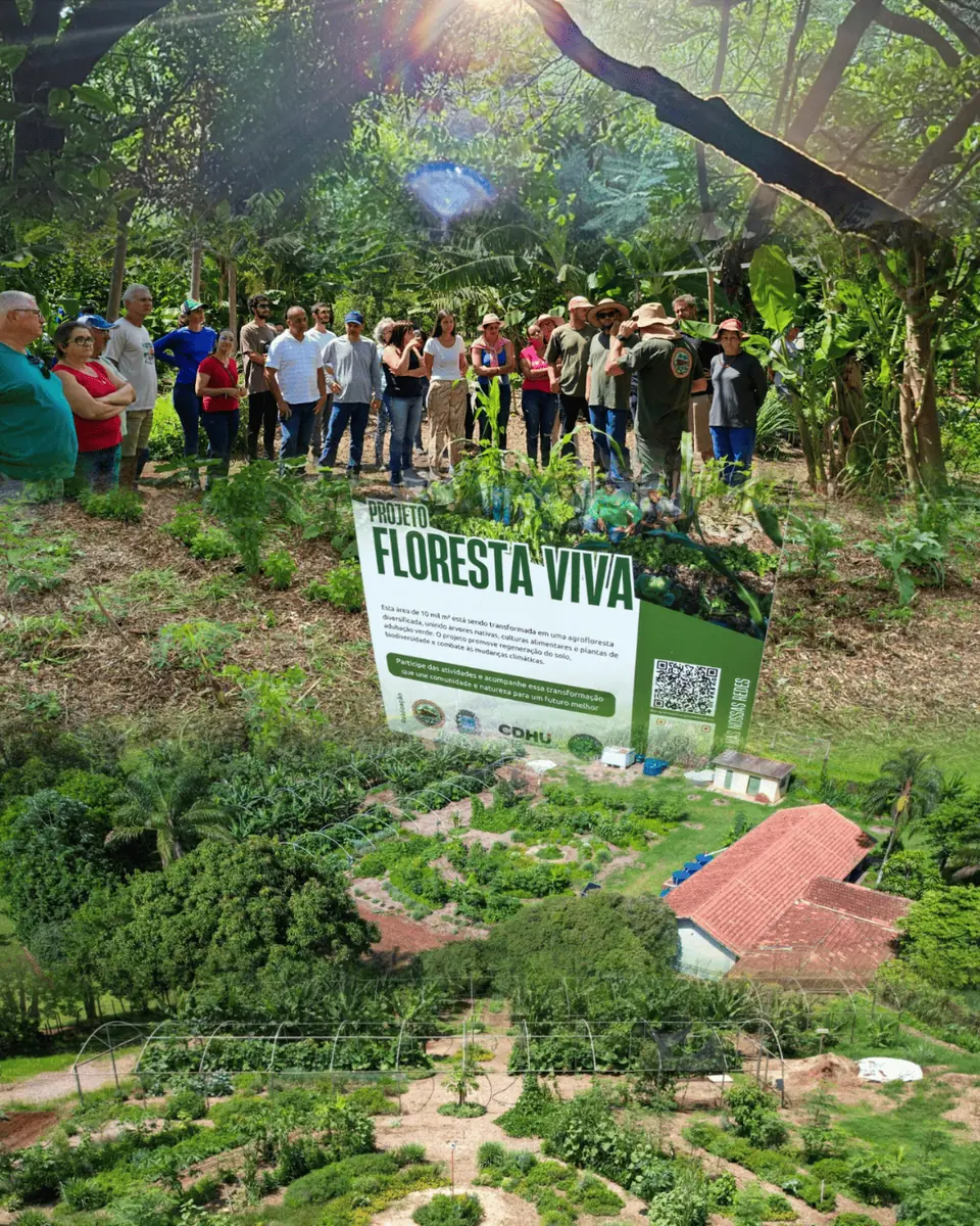 Educação Ambiental e Regenerativa