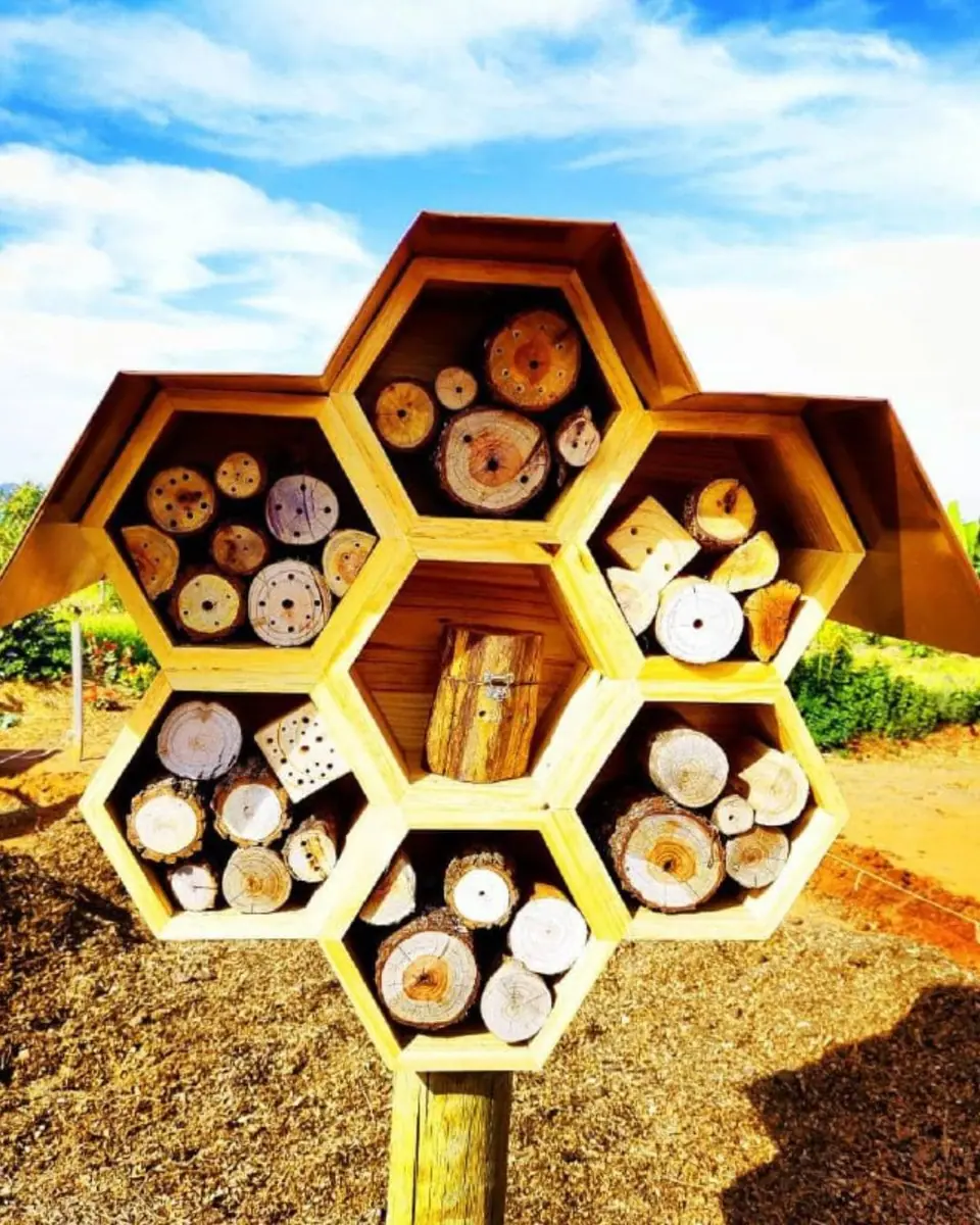 Paisagismo Ecológico e Jardins Regenerativos