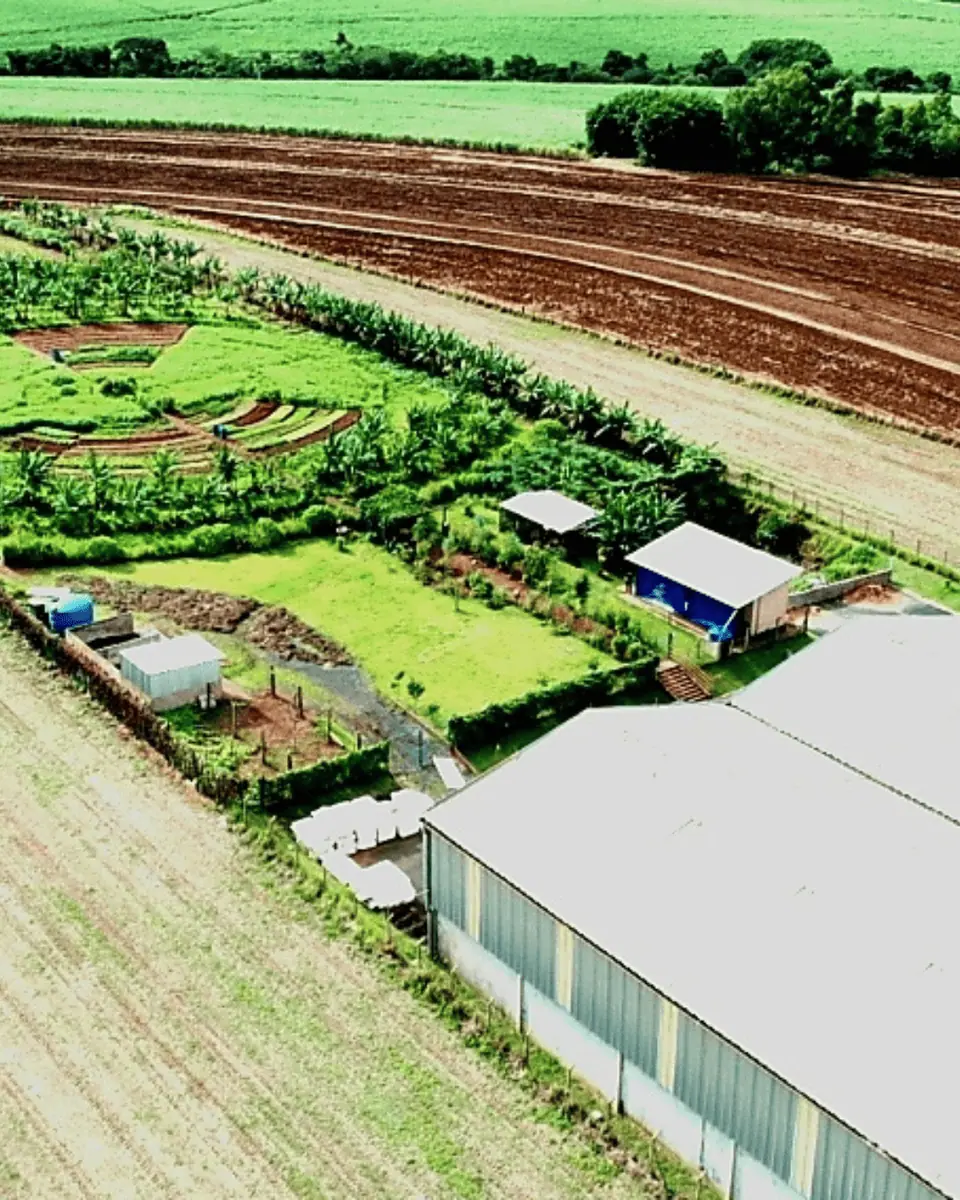 Gestão de Resíduos, Compostagem e Reciclagem Criativa