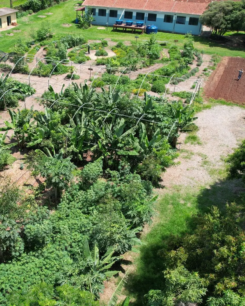 Sistemas Agroflorestais e Agricultura Regenerativa