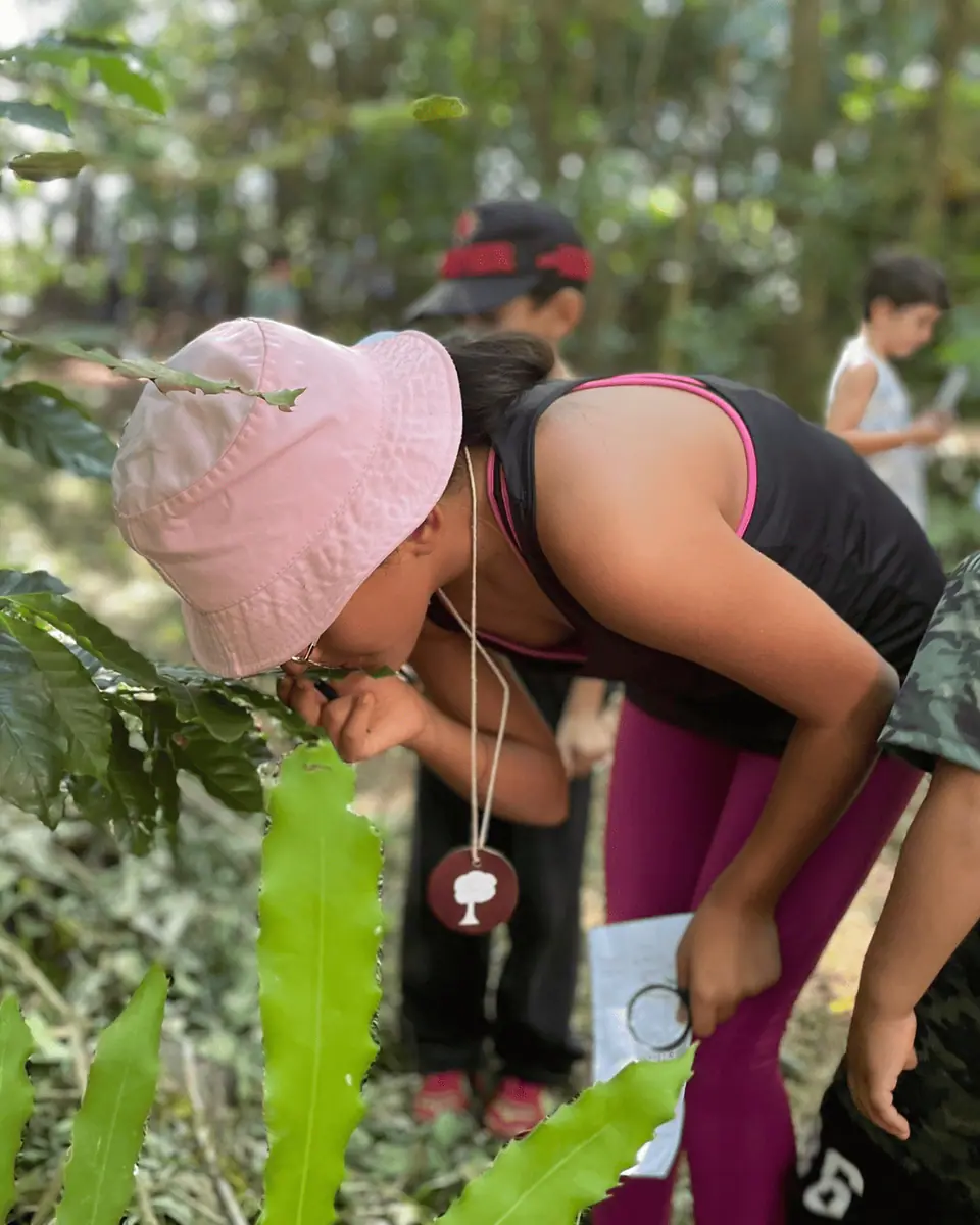 Educação Ambiental e Regenerativa