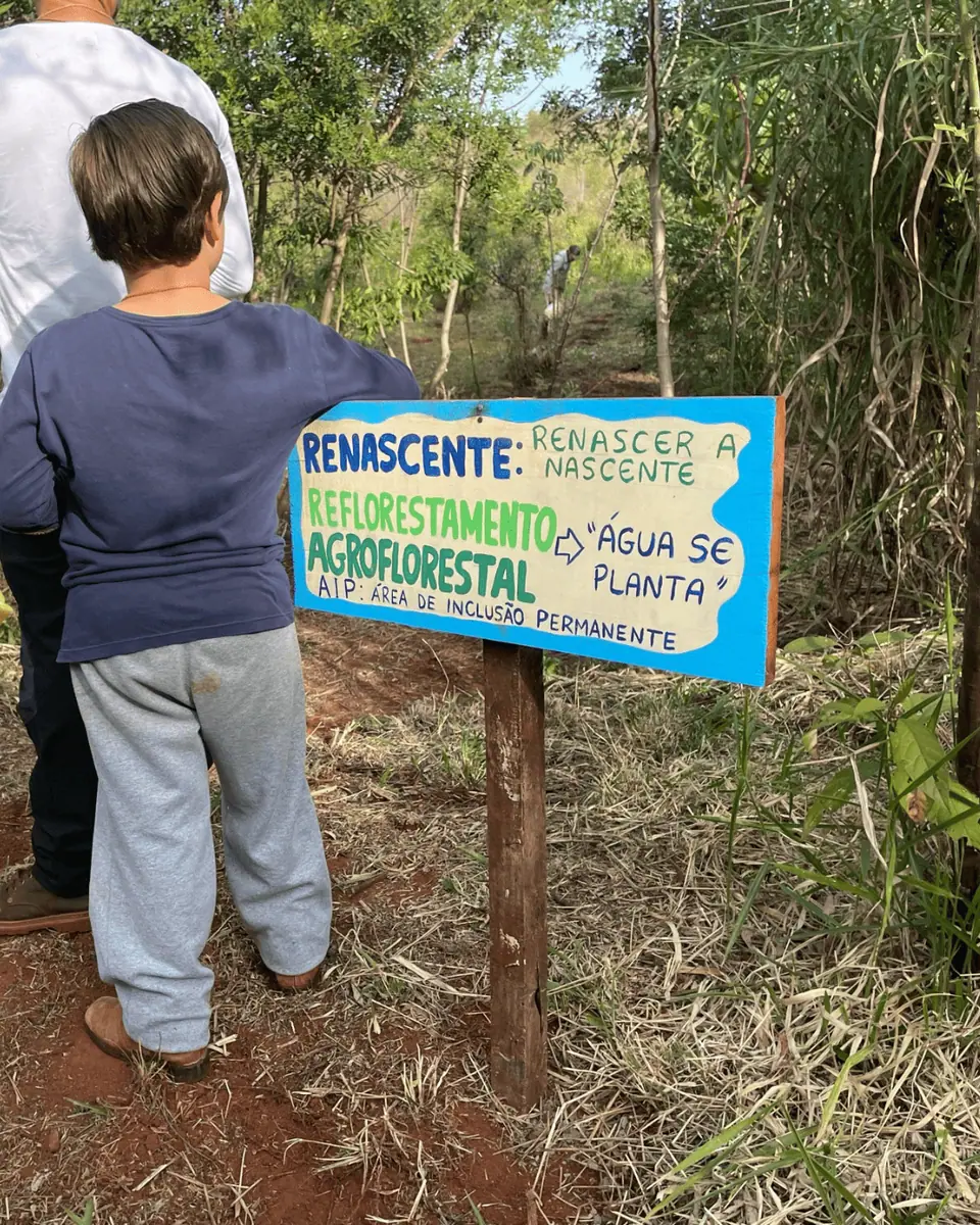 Projeto Renascente - Renascer a Nascente