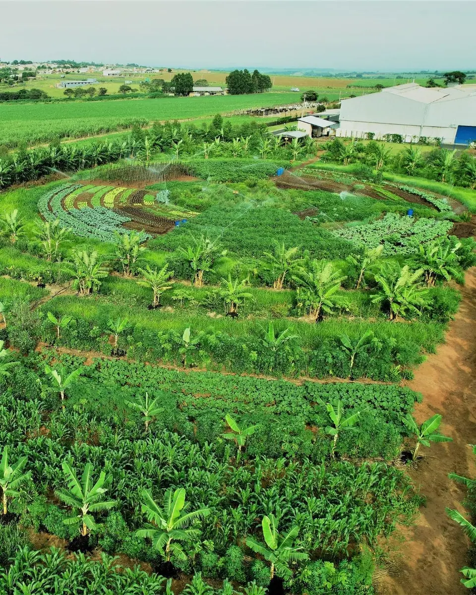 Flor e Ser Soluções Ecológicas