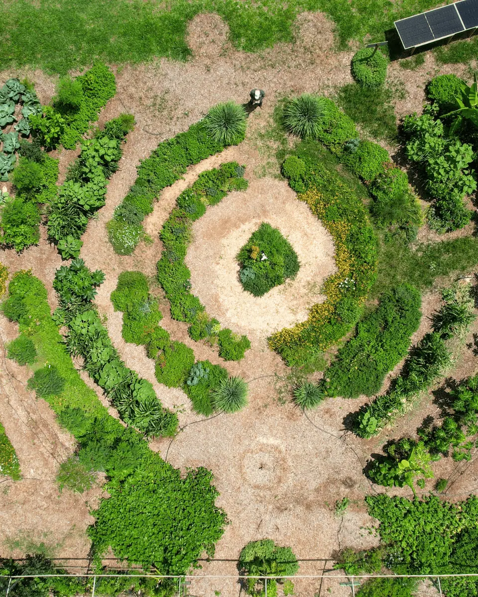 Design Regenerativo e Tecnologias Sustentáveis