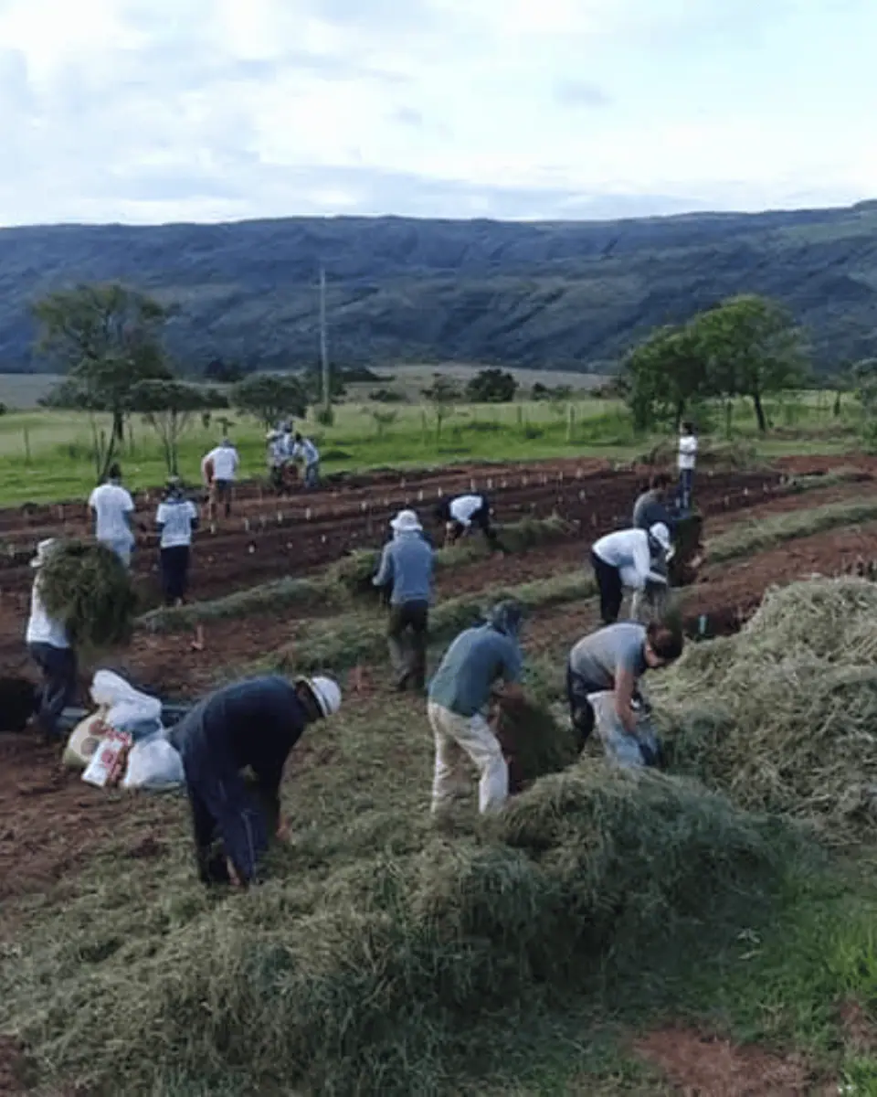Educação Ambiental e Regenerativa