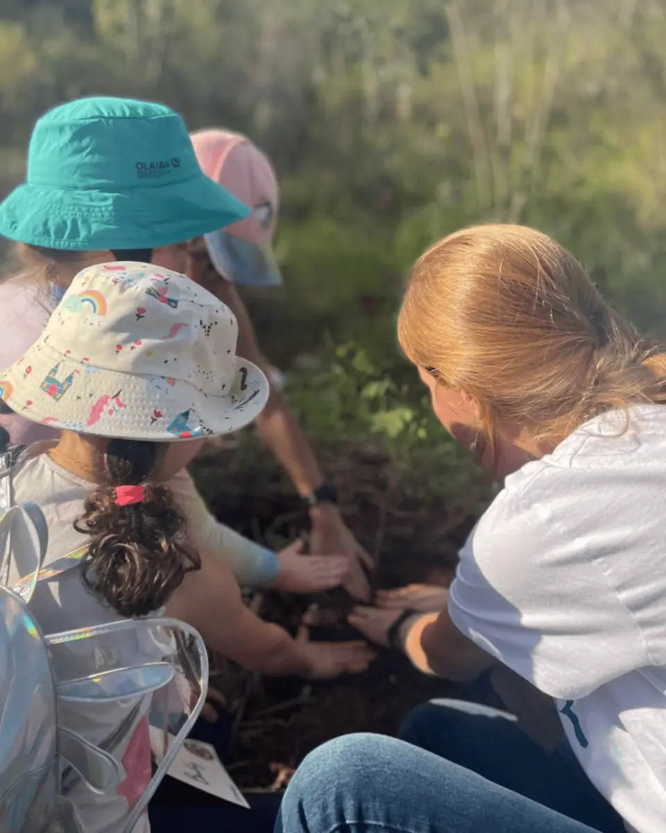 Projeto Renascente - Renascer a Nascente — acervo Flor e Ser
