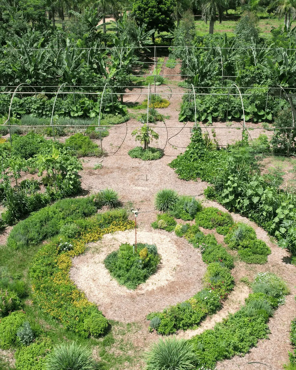 Sistemas Agroflorestais e Agricultura Regenerativa