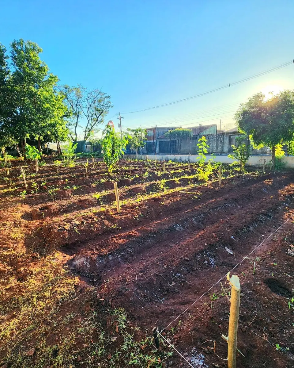 Projeto Floresta Viva