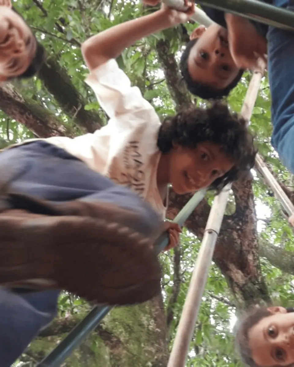 Educação Ambiental e Regenerativa