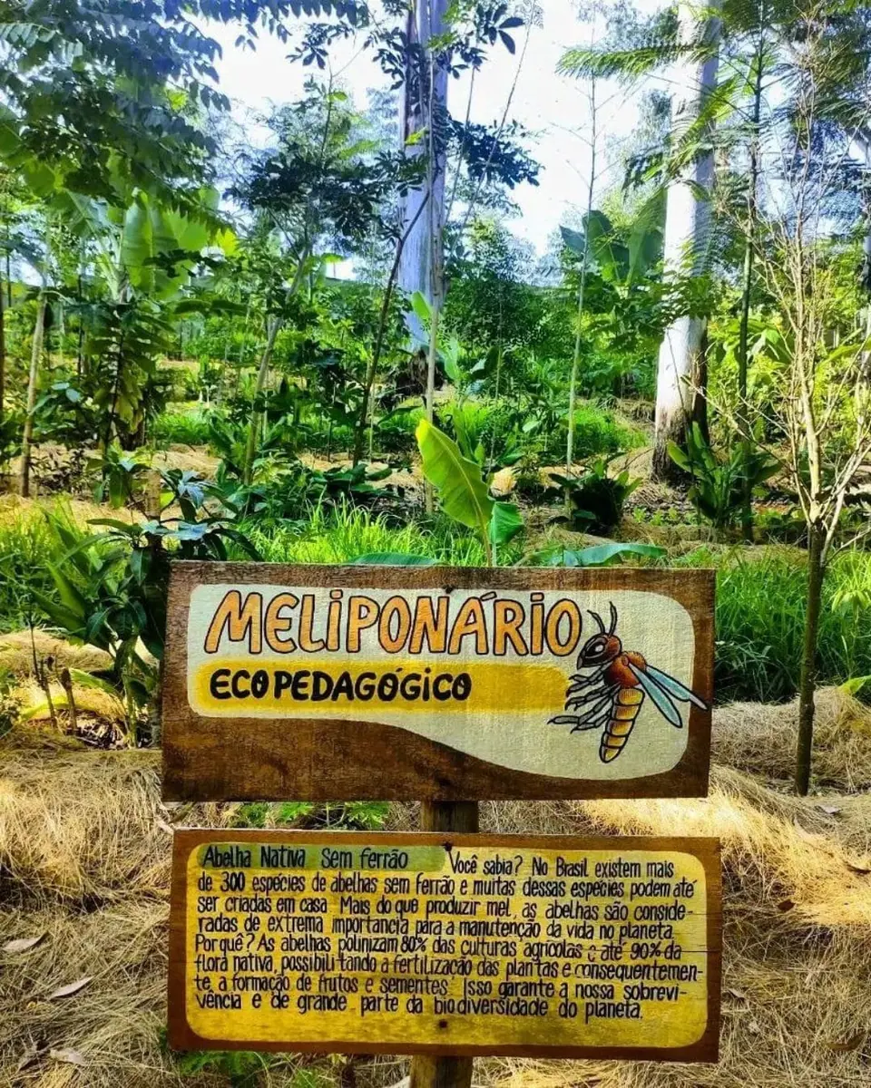 Paisagismo Ecológico e Jardins Regenerativos