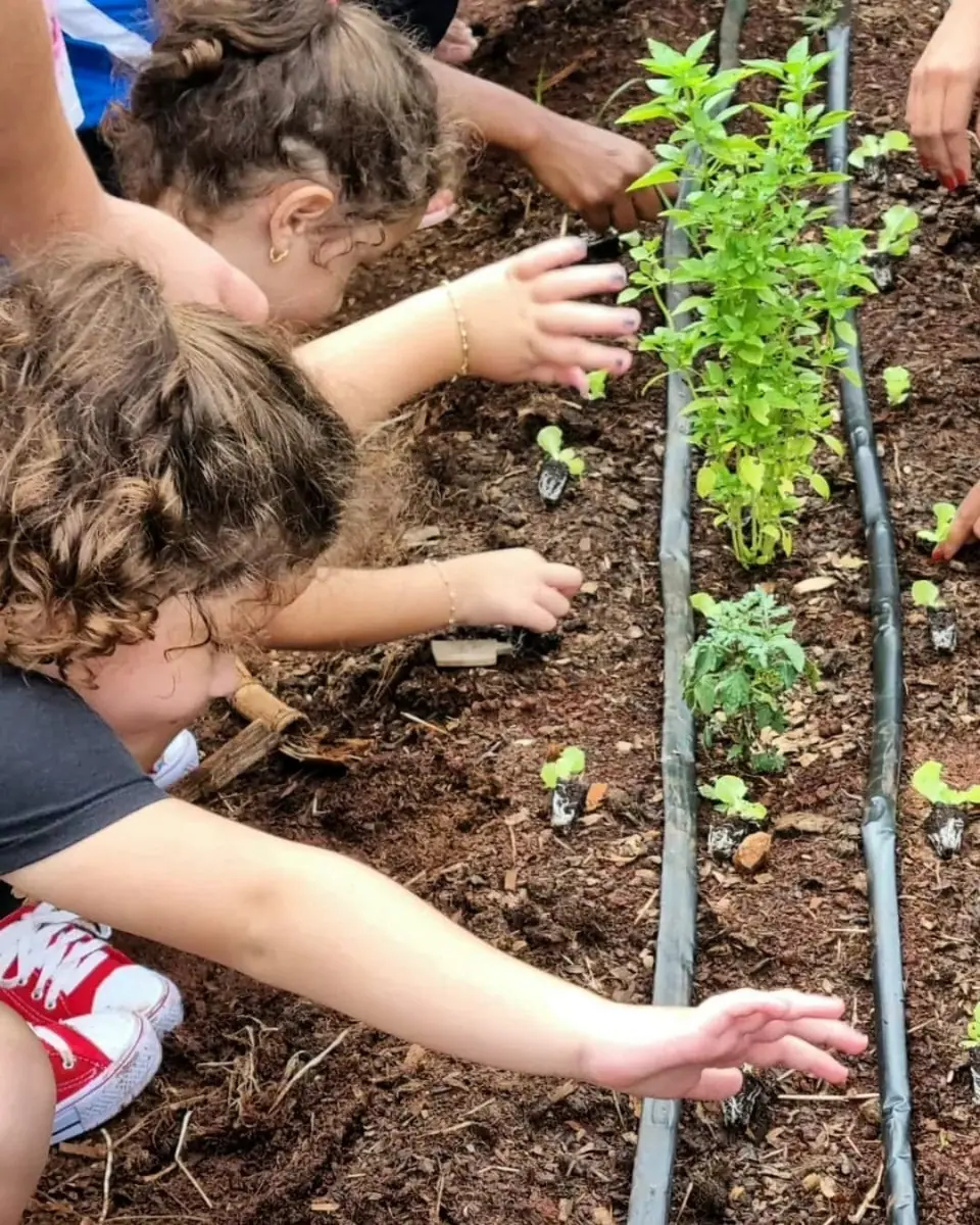 Projeto Escolas Vivas