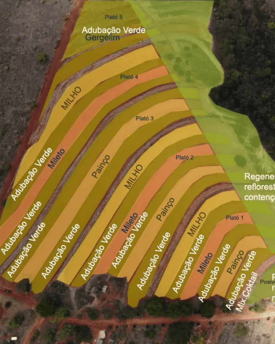 Sistemas Agroflorestais e Agricultura Regenerativa