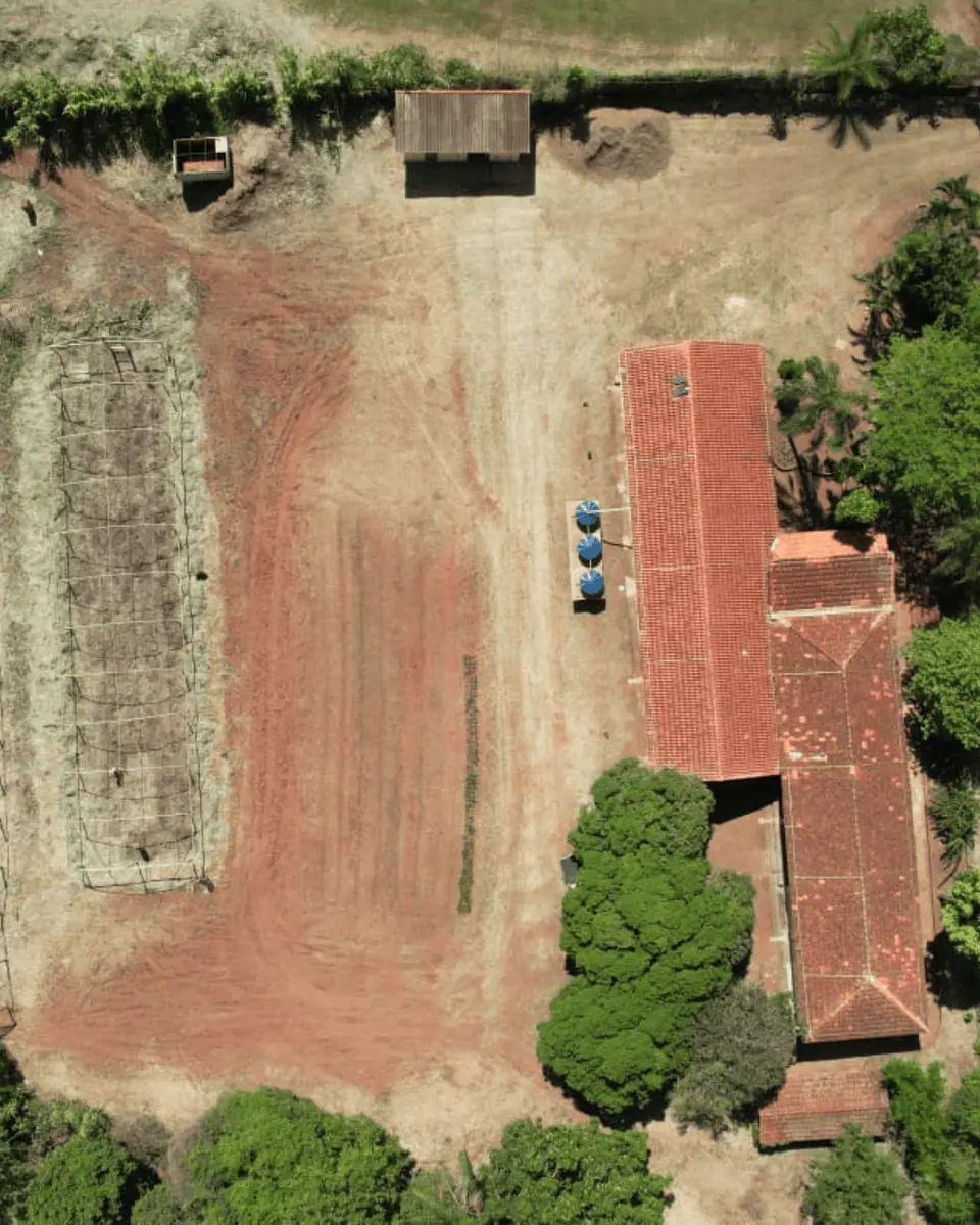 Projeto Escolas Vivas